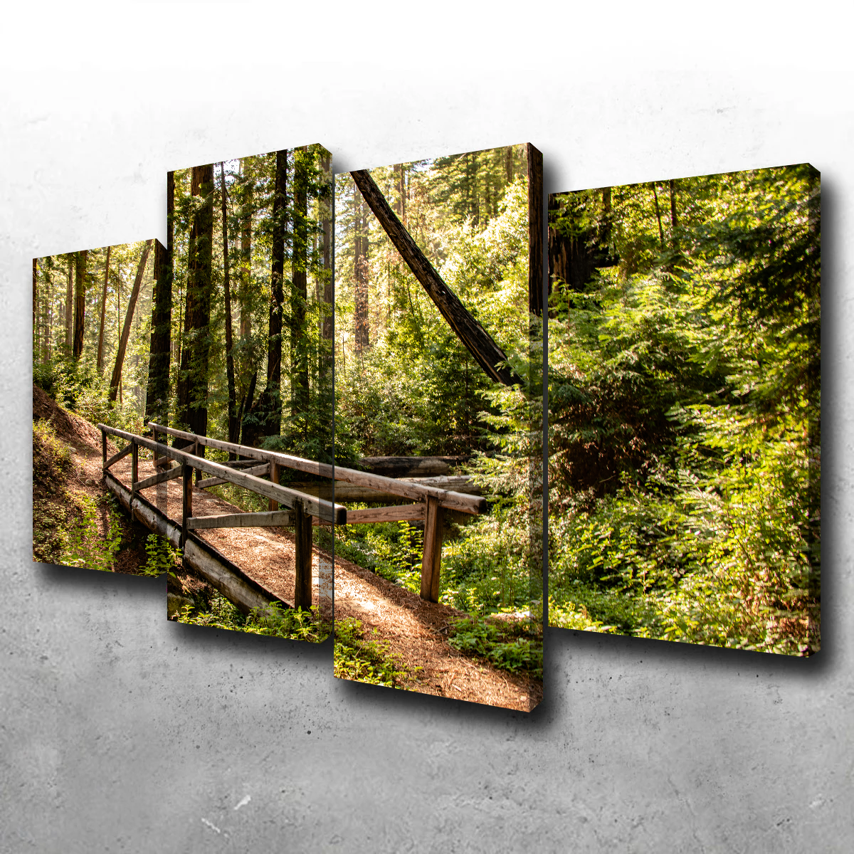 Stunning Ewoldsen Trail Bridge Wall Art by Kyle Sherry