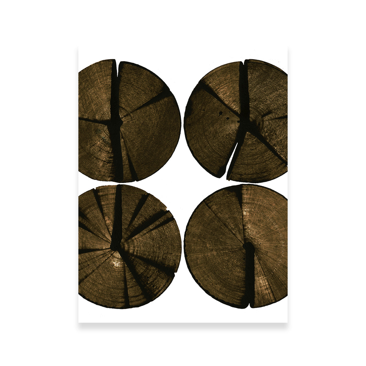 Exquisite Kiln - Dried Pine Wooden Rounds Wall Art by Evgeny Vetrov