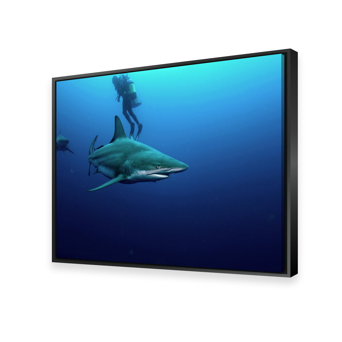 Stunning Bull Shark & Diver Wall Art for Your Home Decor