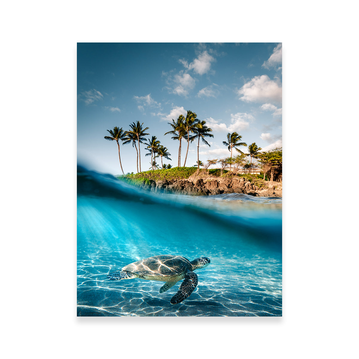 Exquisite Land & Sea Wall Art by Lucas Moore