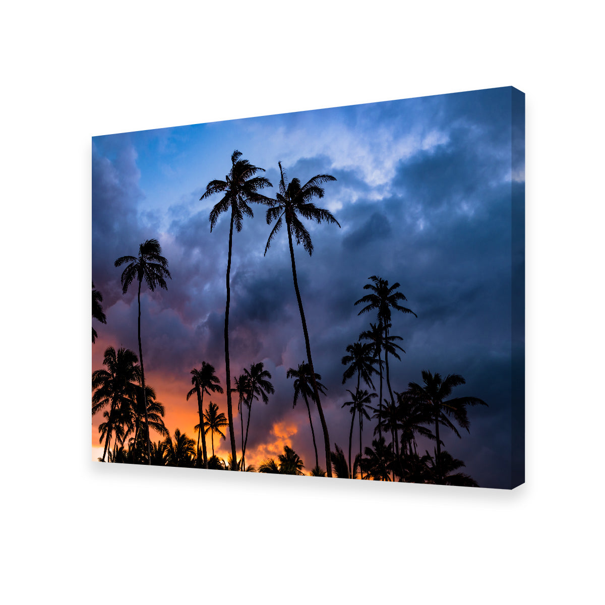 Stunning Fire in the Sky Wall Art by Lucas Moore