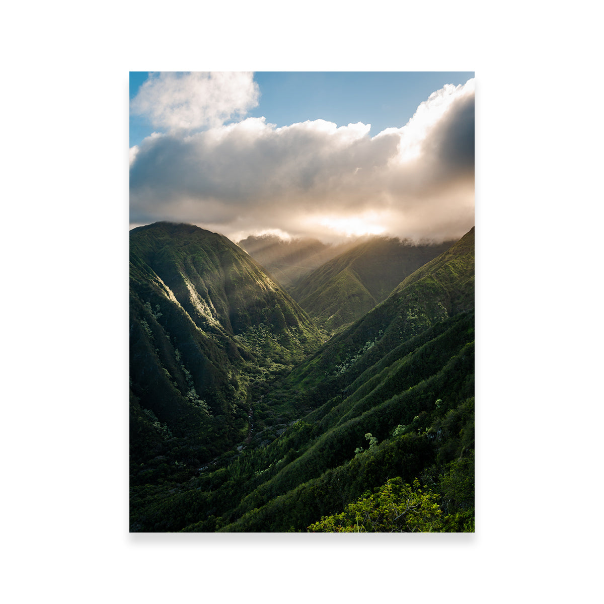 Exquisite Valley of Light Wall Art by Lucas Moore
