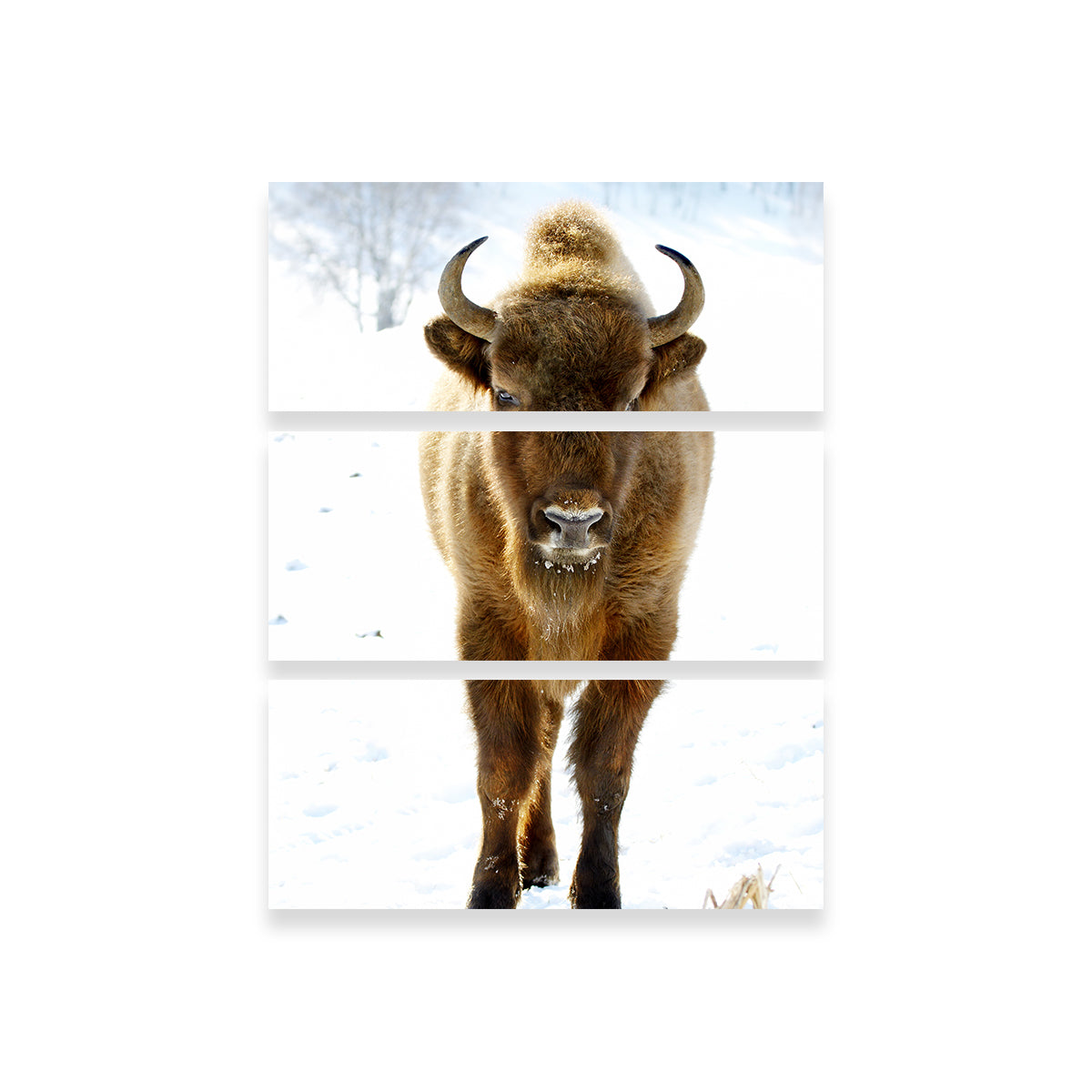 Exquisite European Bison Wall Art for Home Decor
