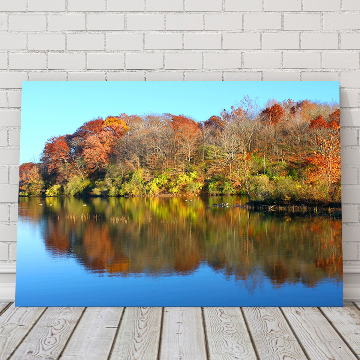 Stunning Kickapoo State Park Wall Art for Your Home Decor