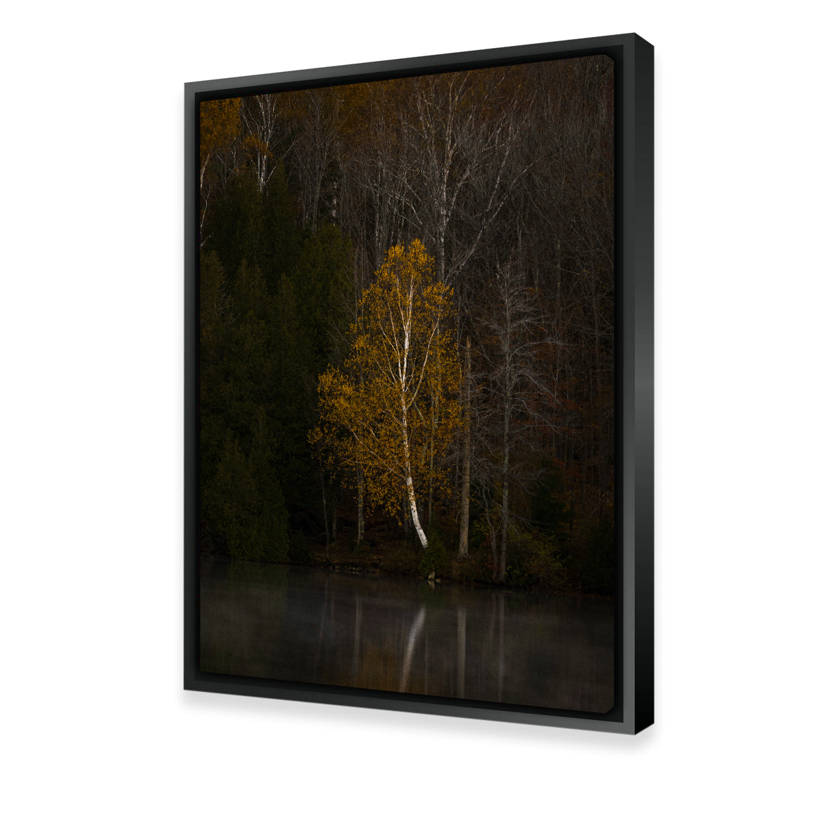 Stunning Moody Vermont Morning Wall Art by Dennis Maida