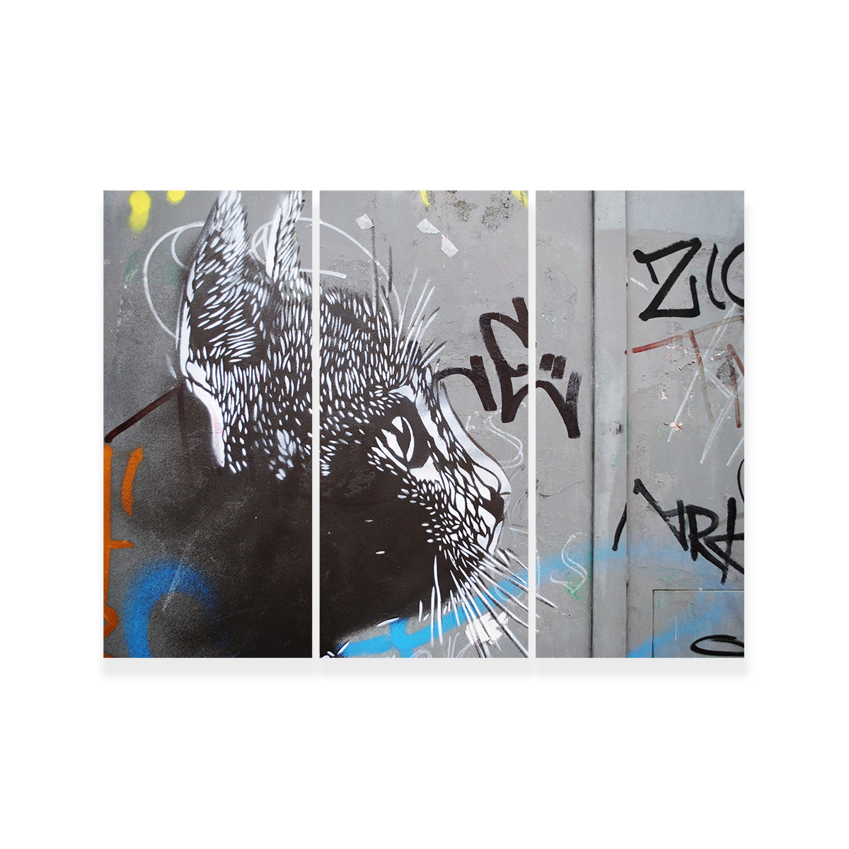 Eye - catching Street Art Cat Wall Art for Stunning Decor