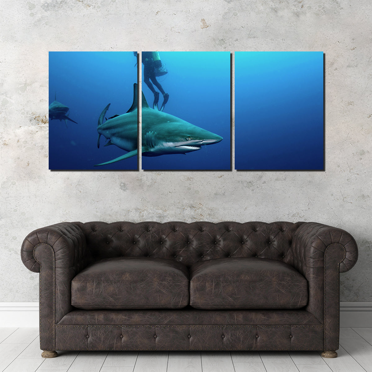 Stunning Bull Shark & Diver Wall Art for Your Home Decor