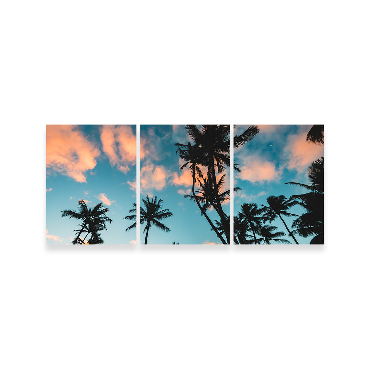 Exquisite Tropical Sunrise Wall Art by Lucas Moore