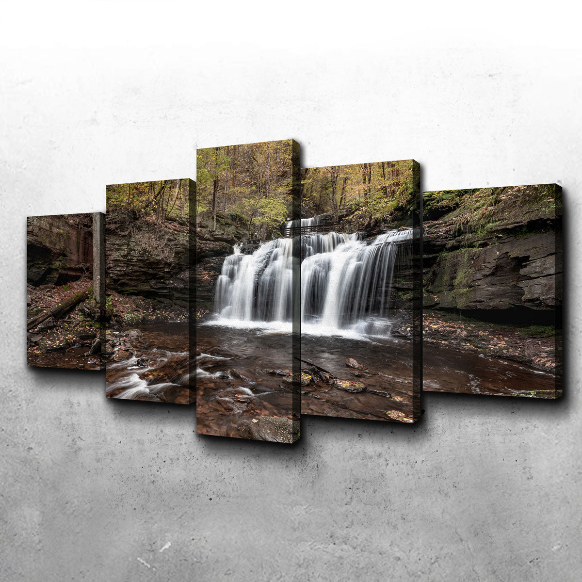 Stunning Who Loves Color Wall Art by Shaun Mayer