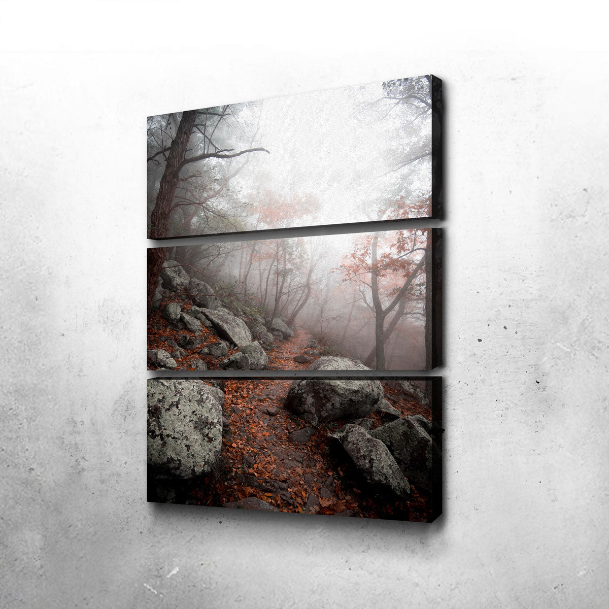 Enchanting Moody Forest Wall Art by Lucas Moore