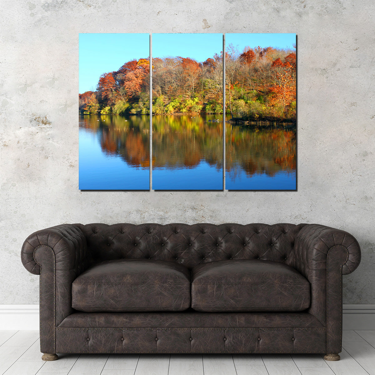 Stunning Kickapoo State Park Wall Art for Your Home Decor
