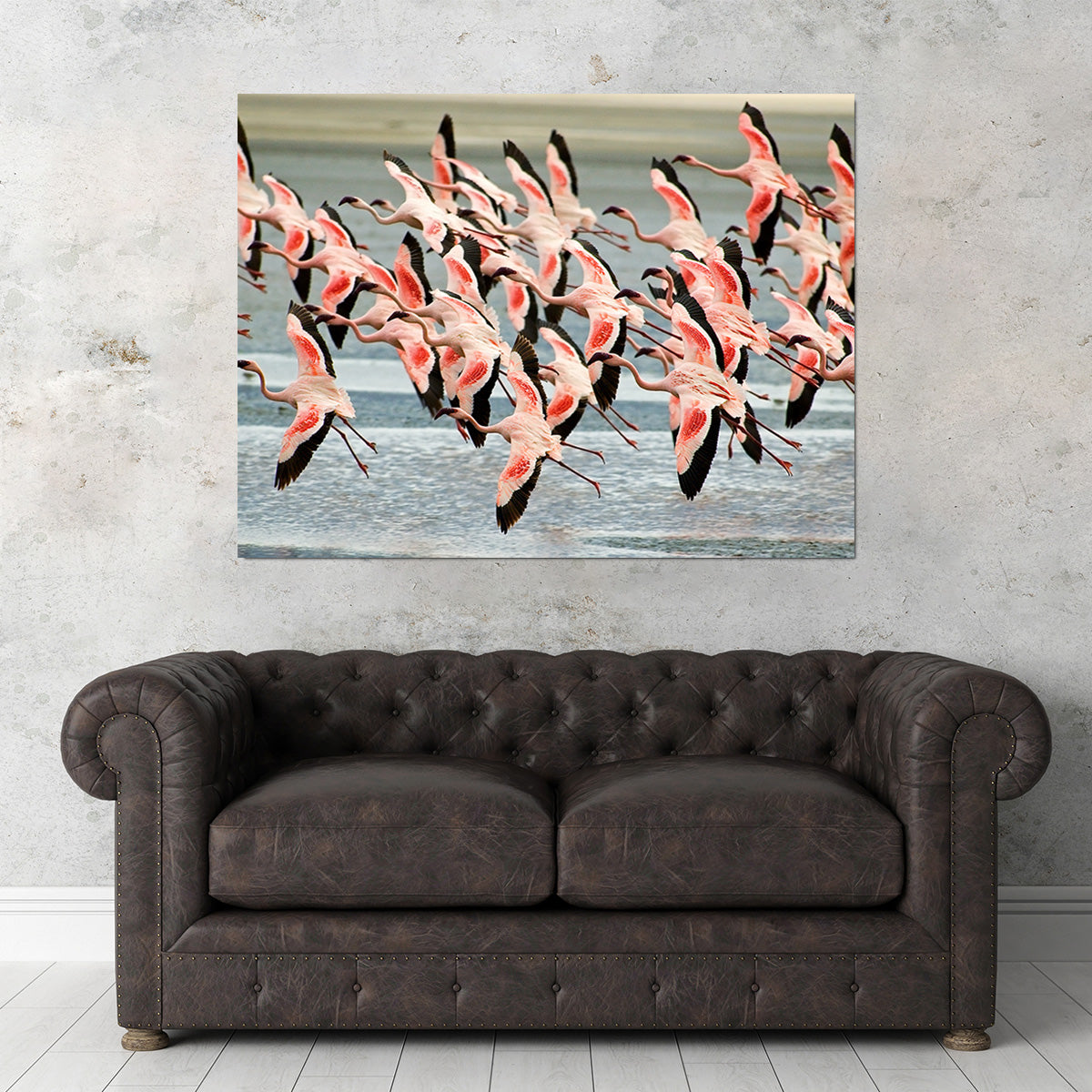 Exquisite Flamingos in Tanzania Wall Art for Your Home Decor