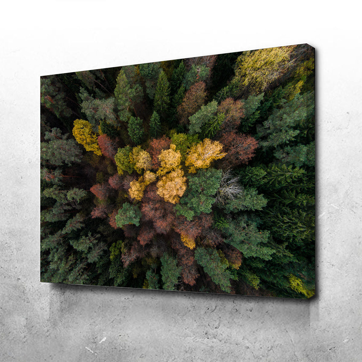 Vibrant Colorful Canopy Wall Art by Karolis Janulis