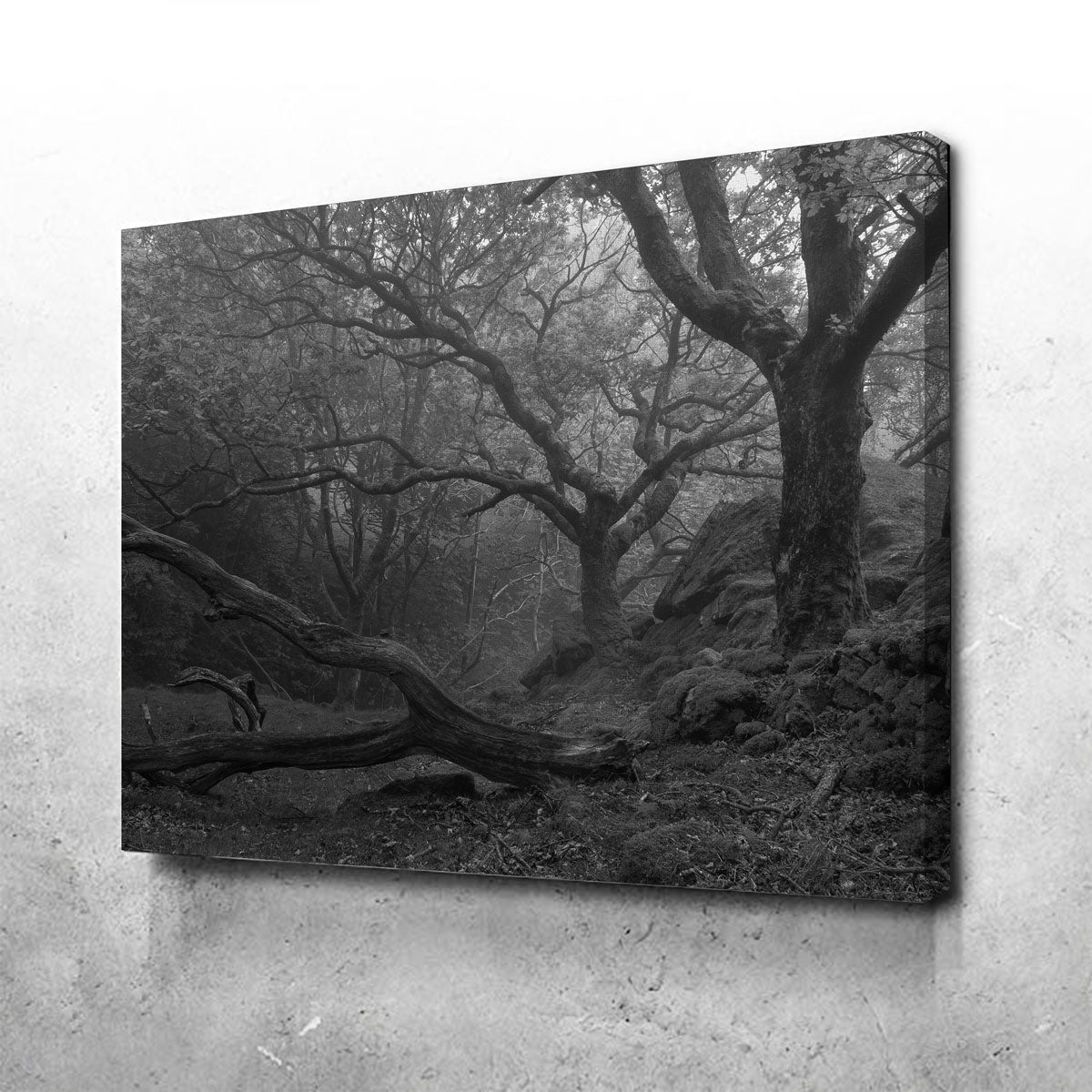 Stunning Thick Roots Wall Art by Mike Cotton