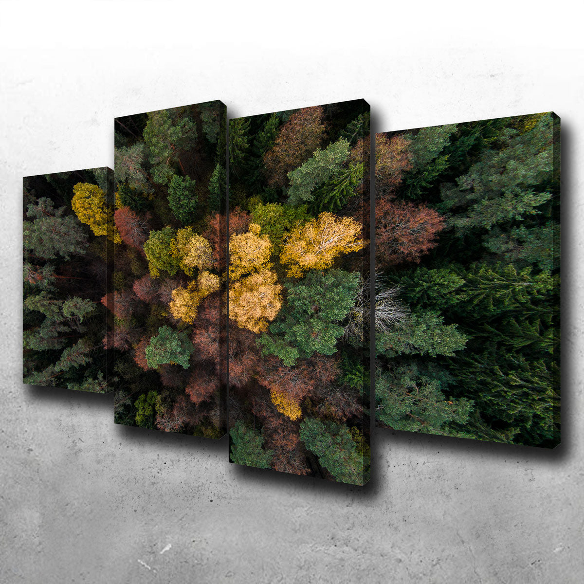 Vibrant Colorful Canopy Wall Art by Karolis Janulis