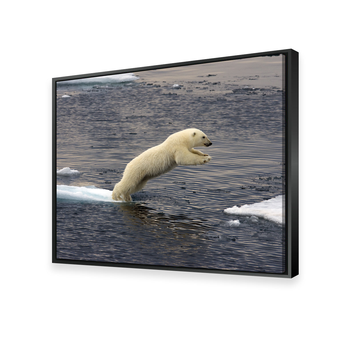 Eye - catching Jumping Polar Bear Wall Art for Stunning Home Decor