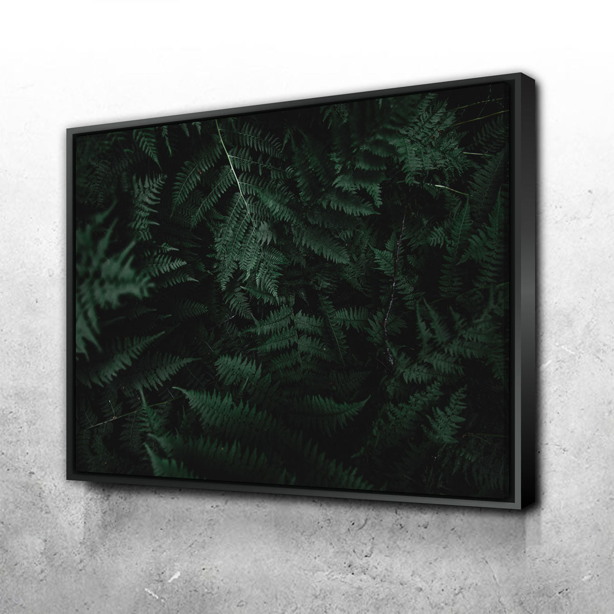 Stunning Ferns Wall Art by Lucas Moore