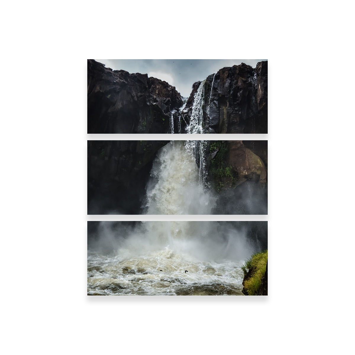 Stunning Fearless Birds Wall Art at Prata Waterfall by Sofia Leite Fonseca