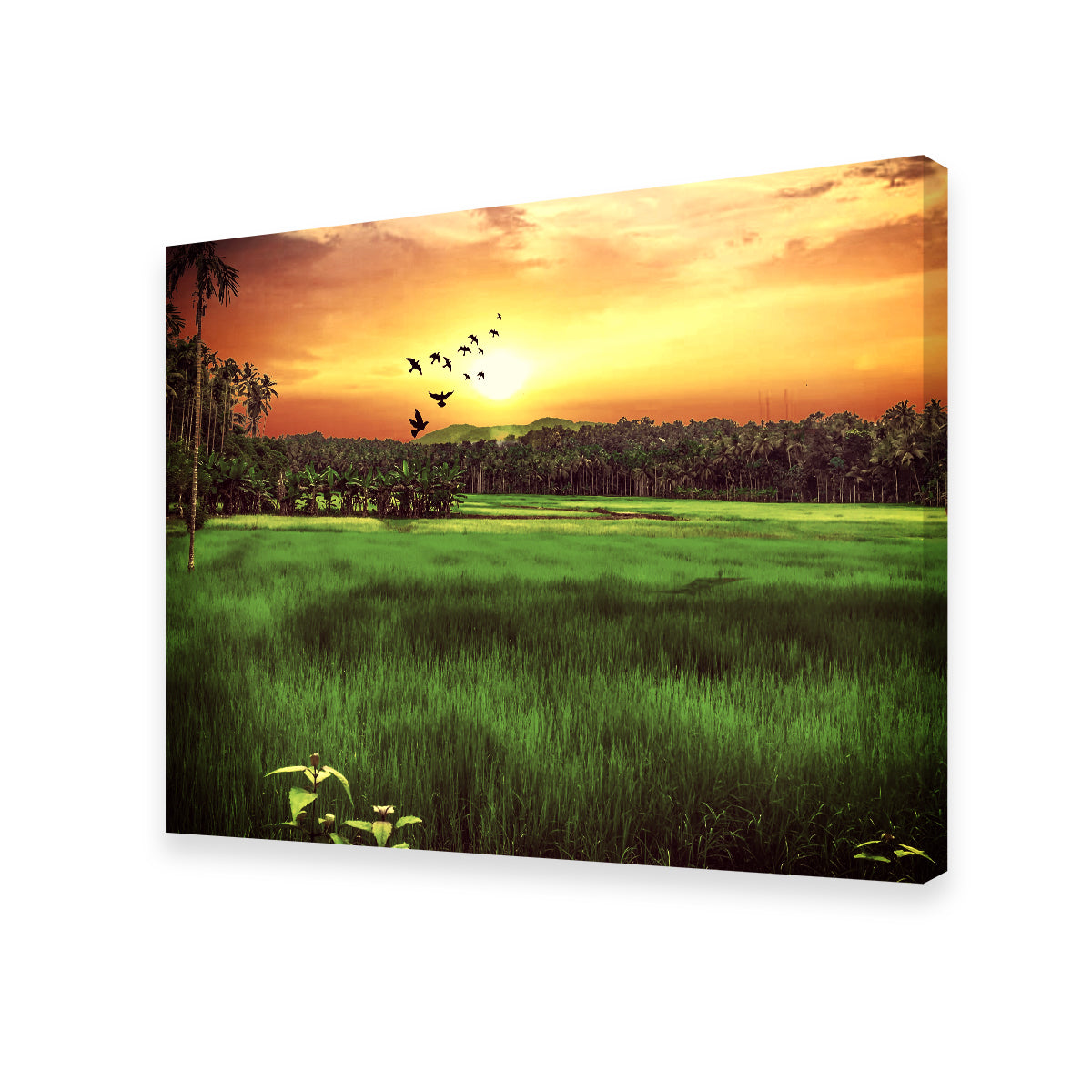 Stunning Sunset Landscape Wall Art by Dina Rolle
