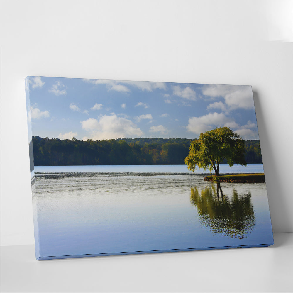 Stunning Willow Tree On The Tennessee River Wall Art for Your Home Decor