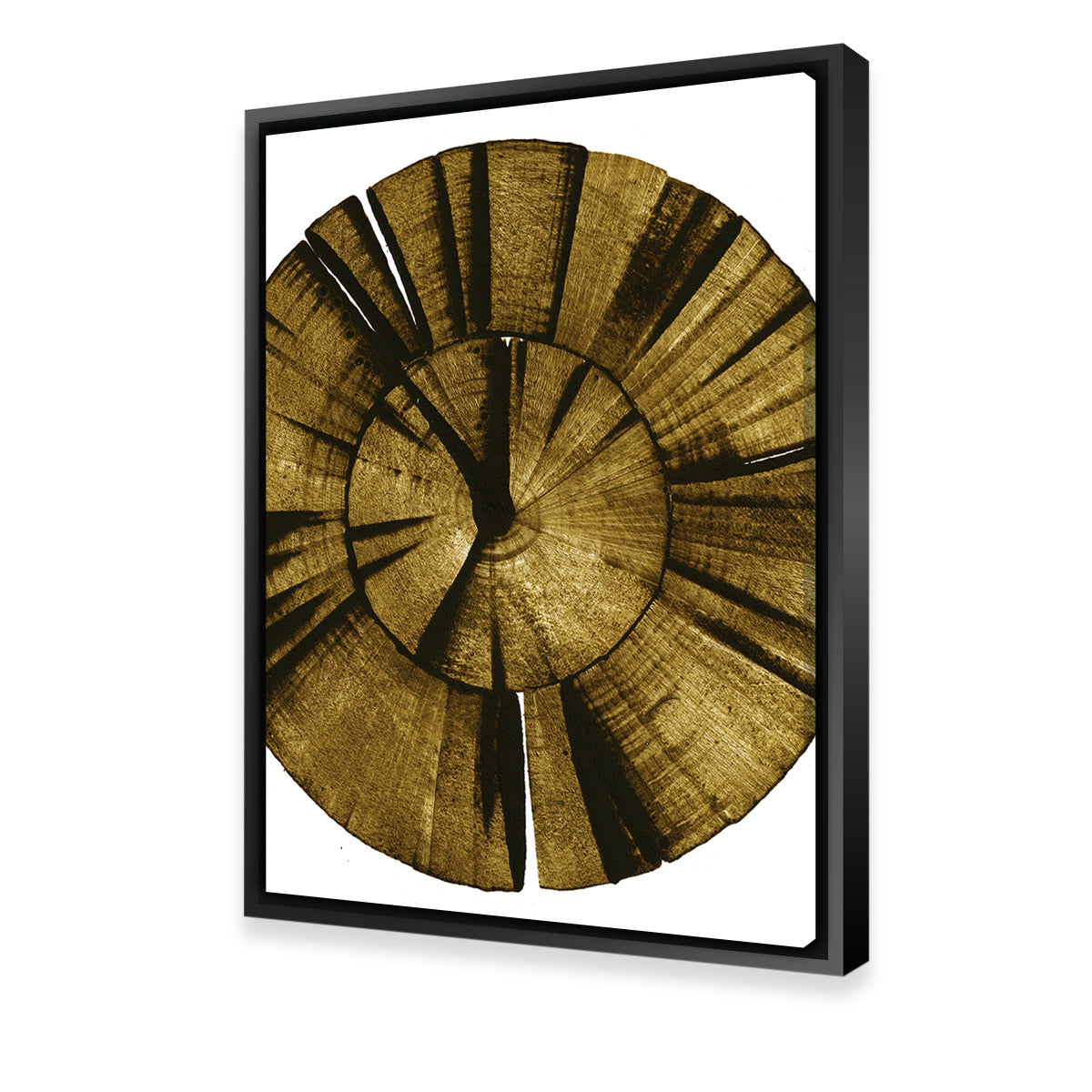 Exquisite Wooden Spiral Wall Art by Evgeny Vetrov