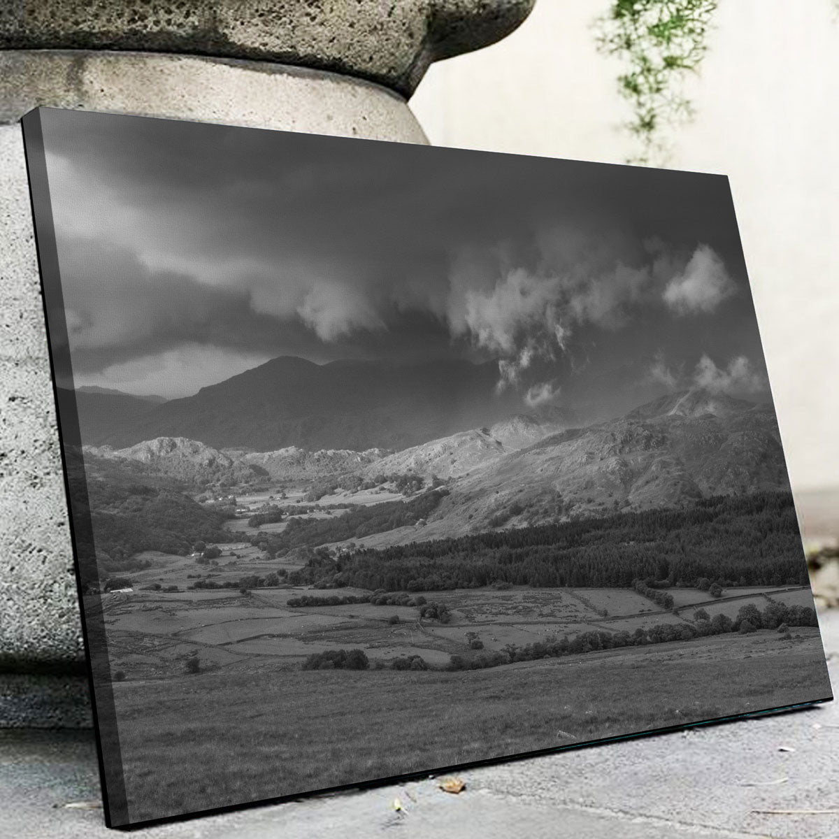 Stormy Fields Exquisite Wall Art by Mike Cotton