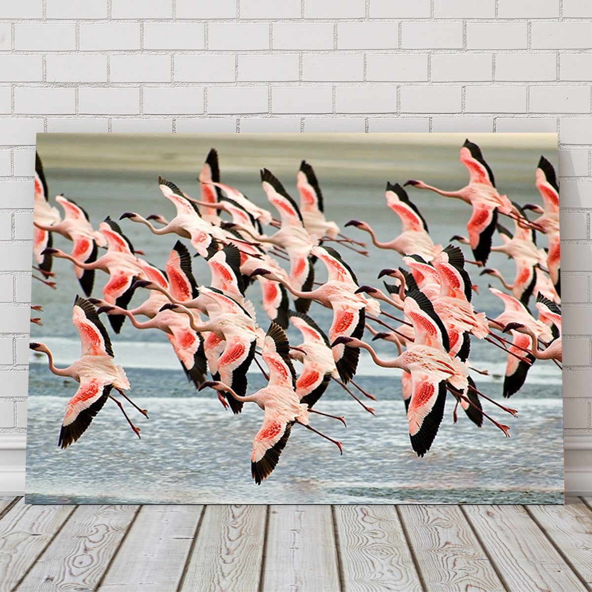 Exquisite Flamingos in Tanzania Wall Art for Your Home Decor