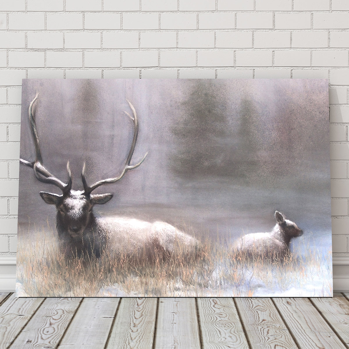 Exquisite Bull Elk & Calf Wall Art by Patricia Jaggie