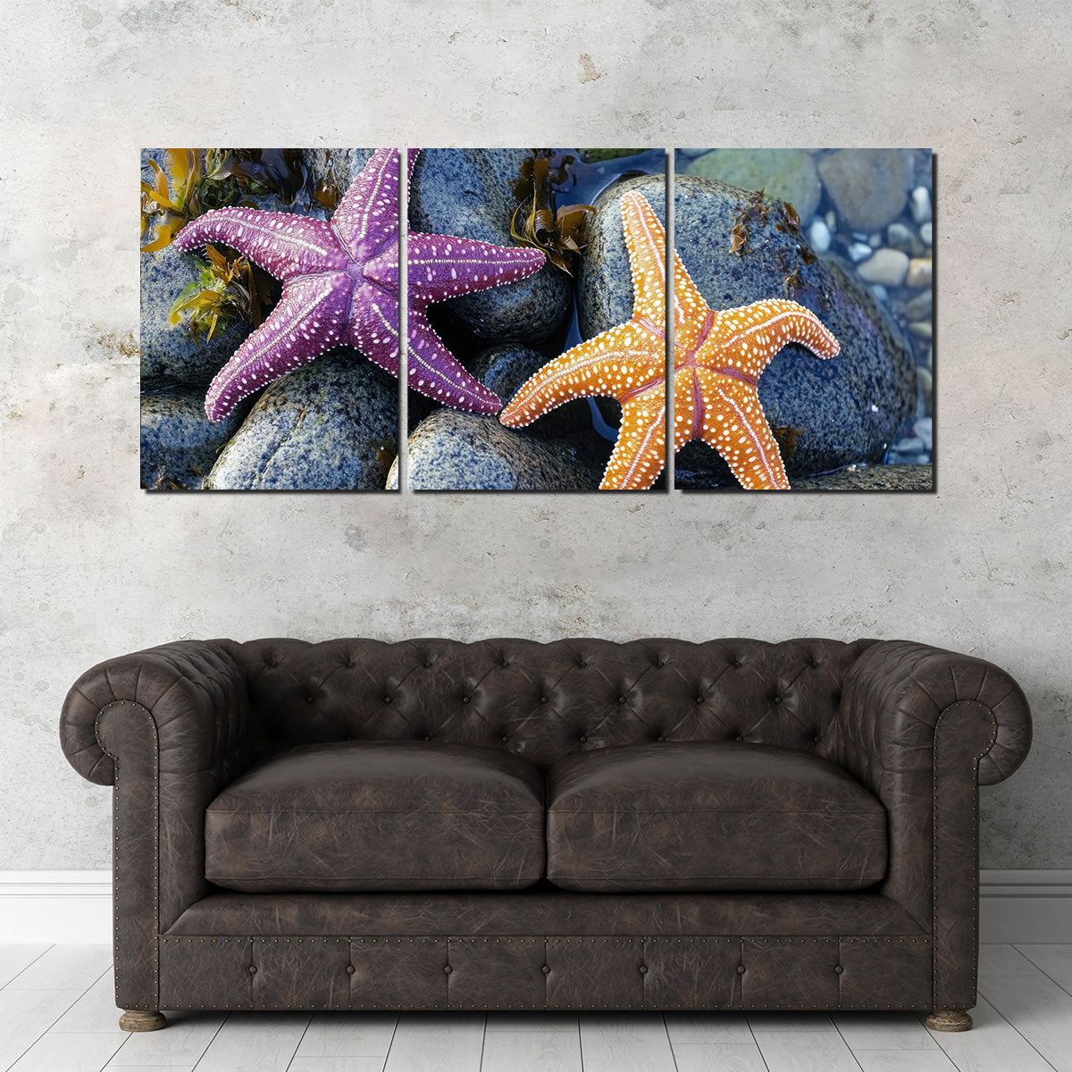 Vibrant Colorful Starfishes Wall Art for Stunning Decor