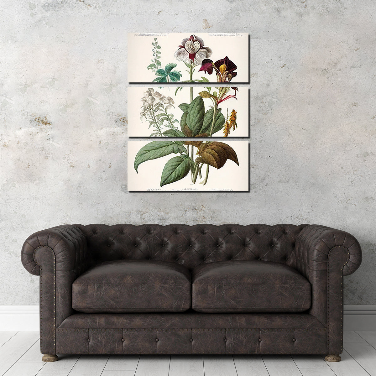 Exquisite Vintage Botanical Print Series 3 Wall Art for Stunning Decor