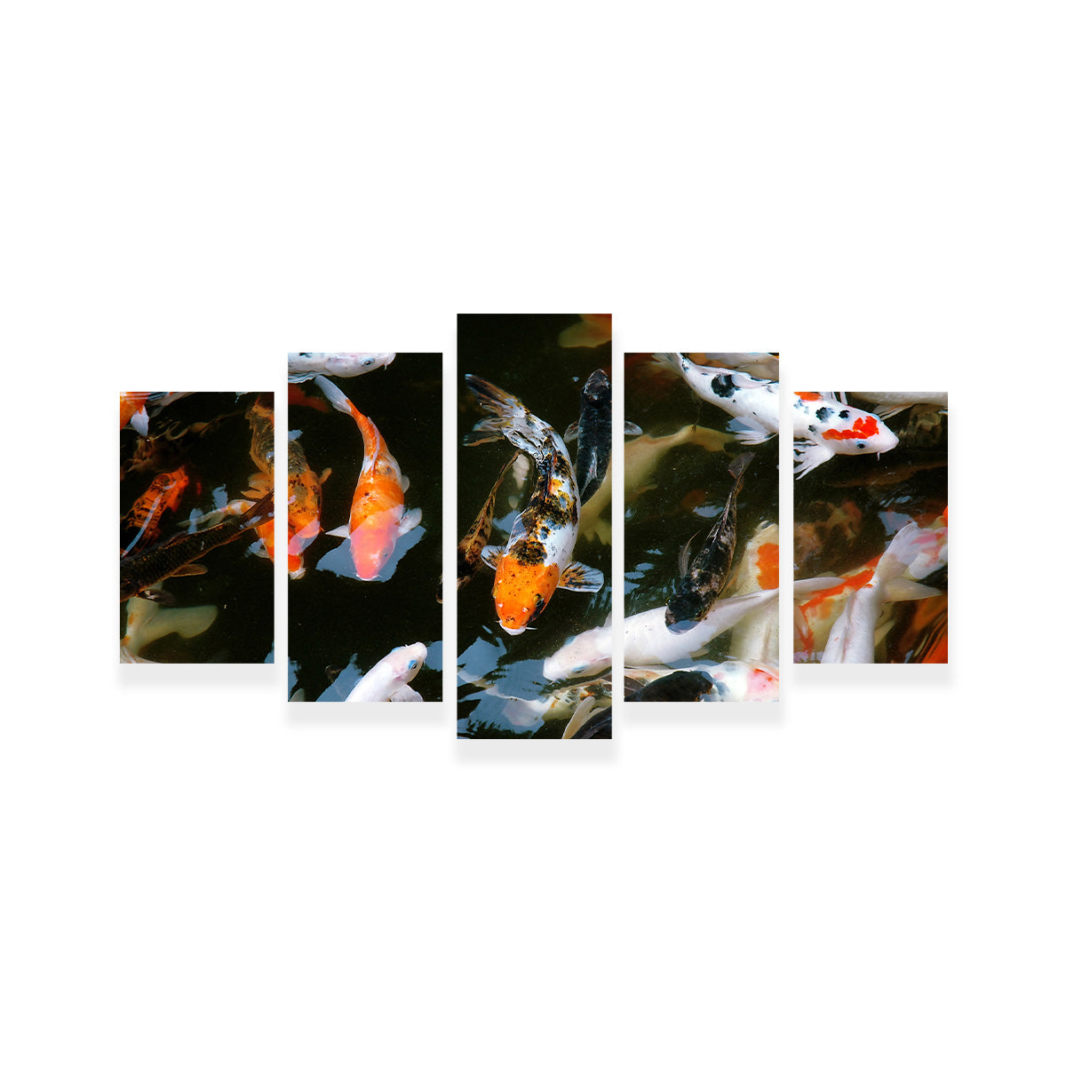 Stunning Koi Fish Swimming Wall Art for Home Decor