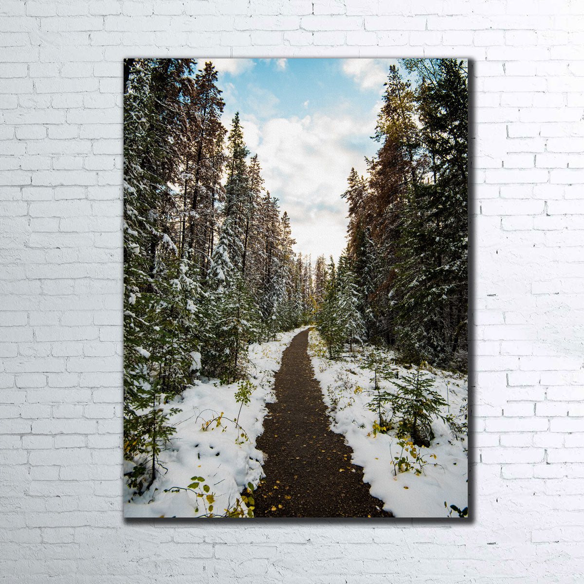 Stunning Winter Path Wall Art by Lucas Moore