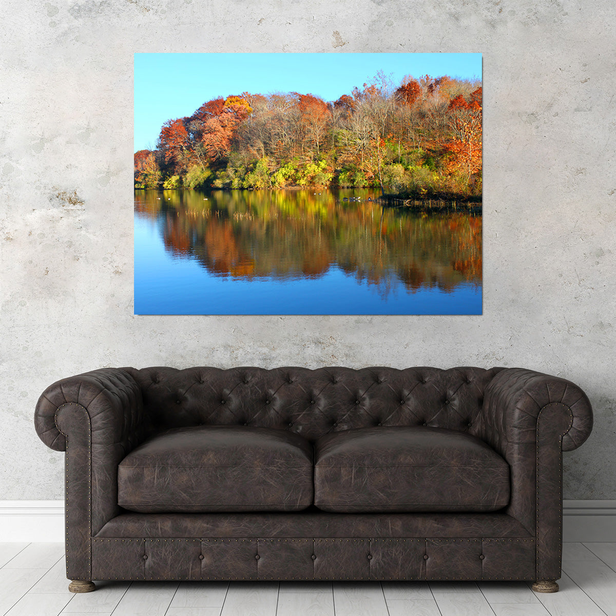 Stunning Kickapoo State Park Wall Art for Your Home Decor