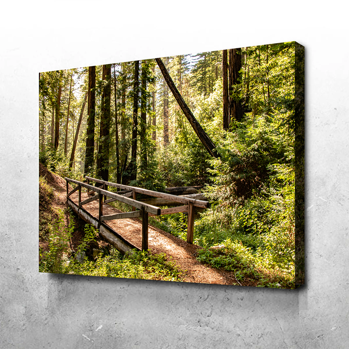 Stunning Ewoldsen Trail Bridge Wall Art by Kyle Sherry