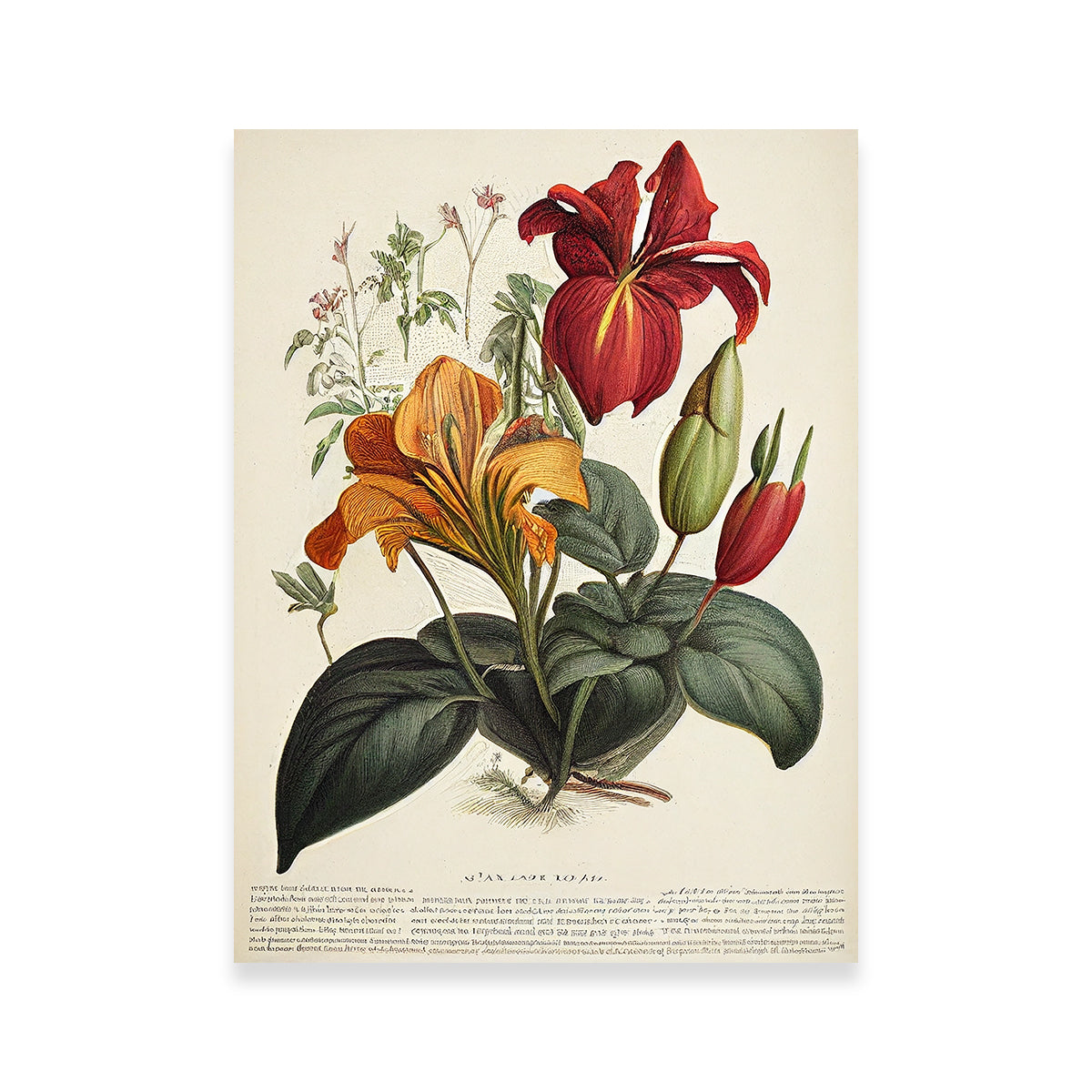 Exquisite Vintage Botanical Print Series 4 Wall Art by Jennifer Hotai