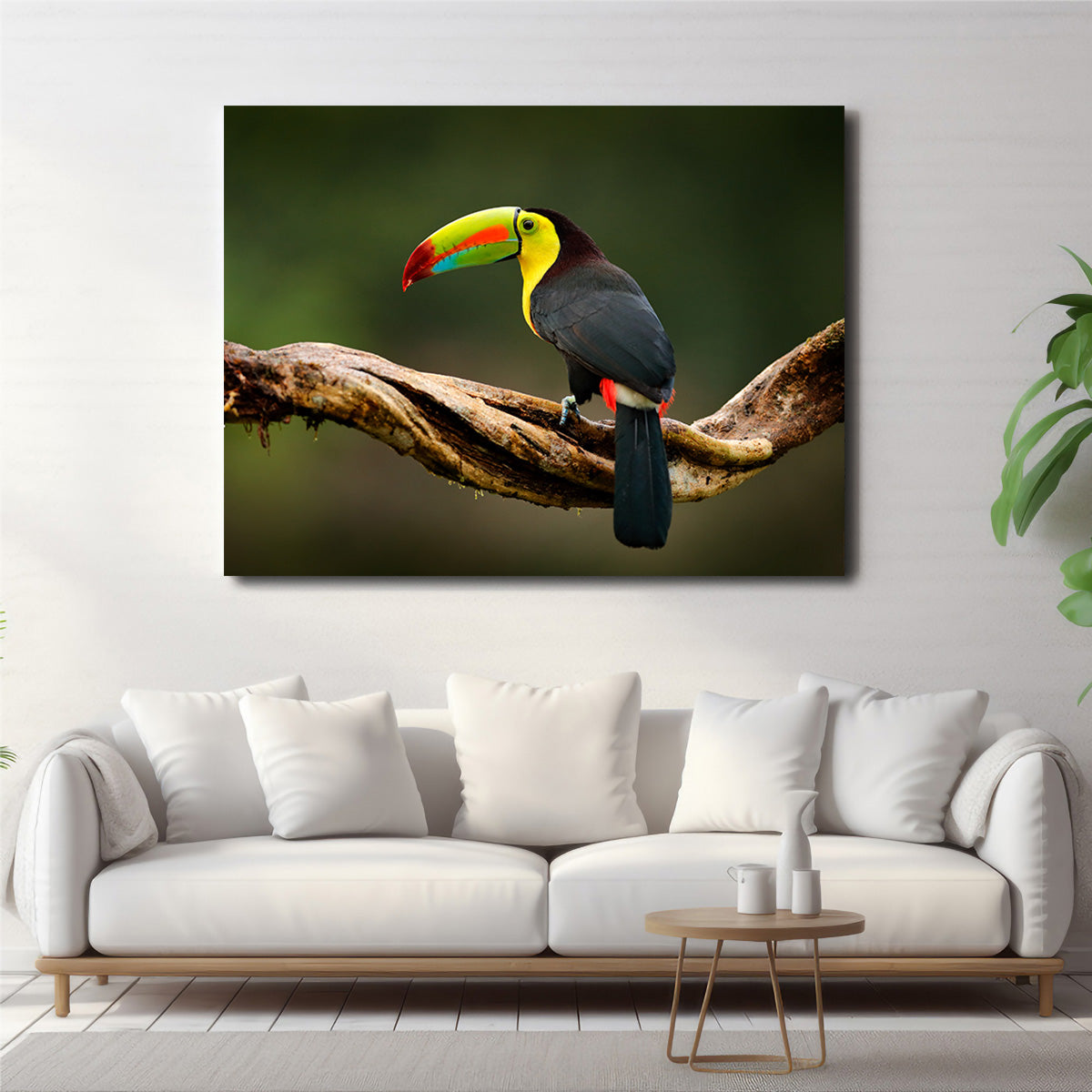 Exquisite Keel - billed Toucan Wall Art for Stunning Home Decor