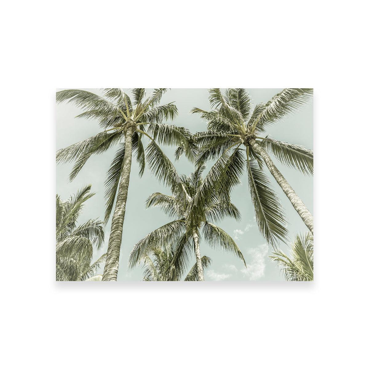 Exquisite Vintage Palm Trees Wall Art by Melanie Viola