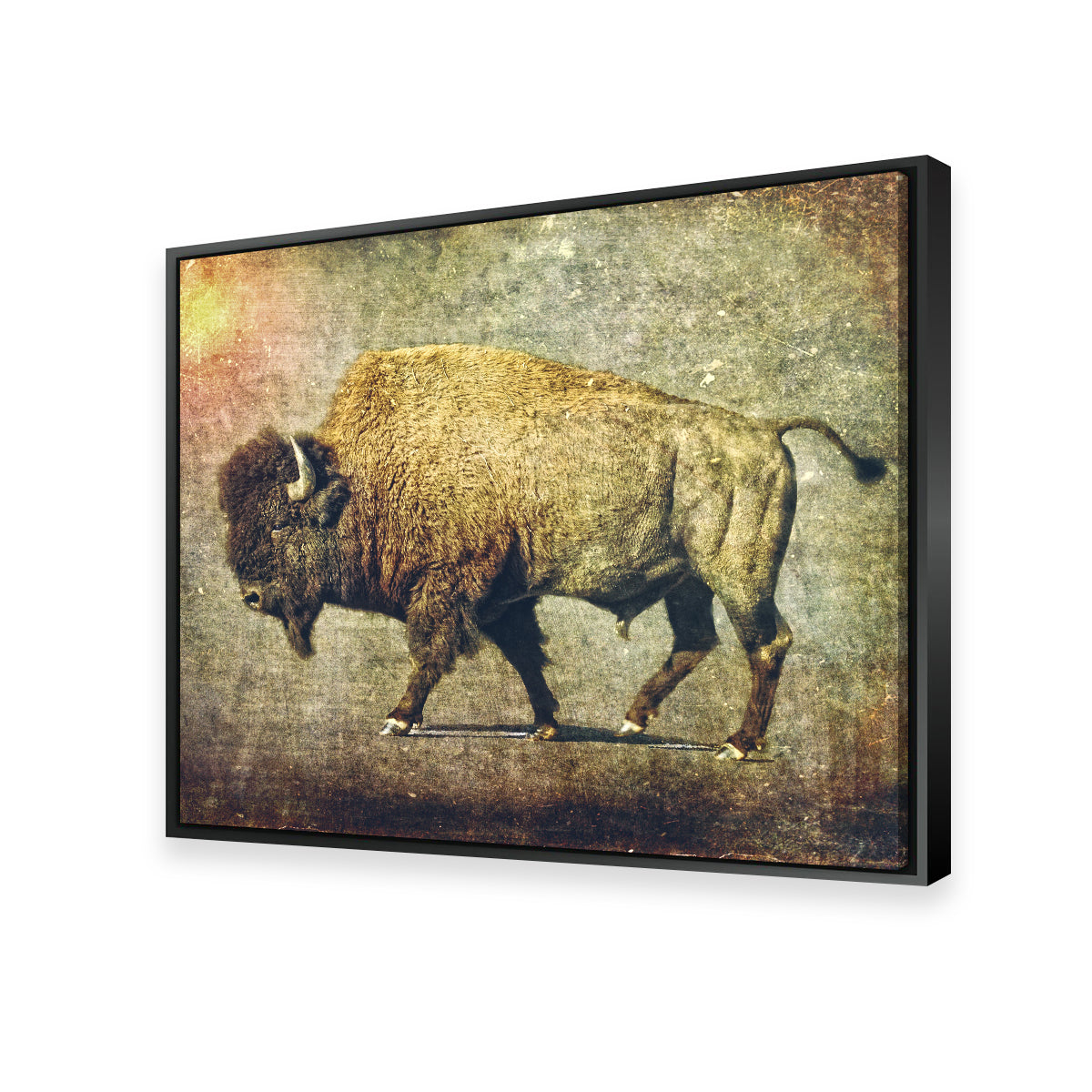 Exquisite Buffalo Art Wall Art for Home Decor