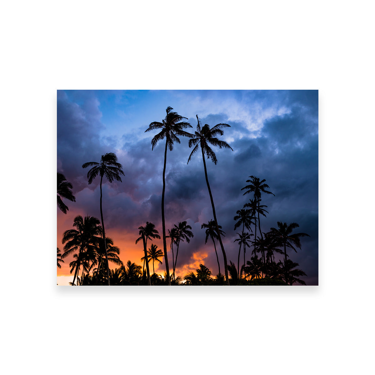 Stunning Fire in the Sky Wall Art by Lucas Moore