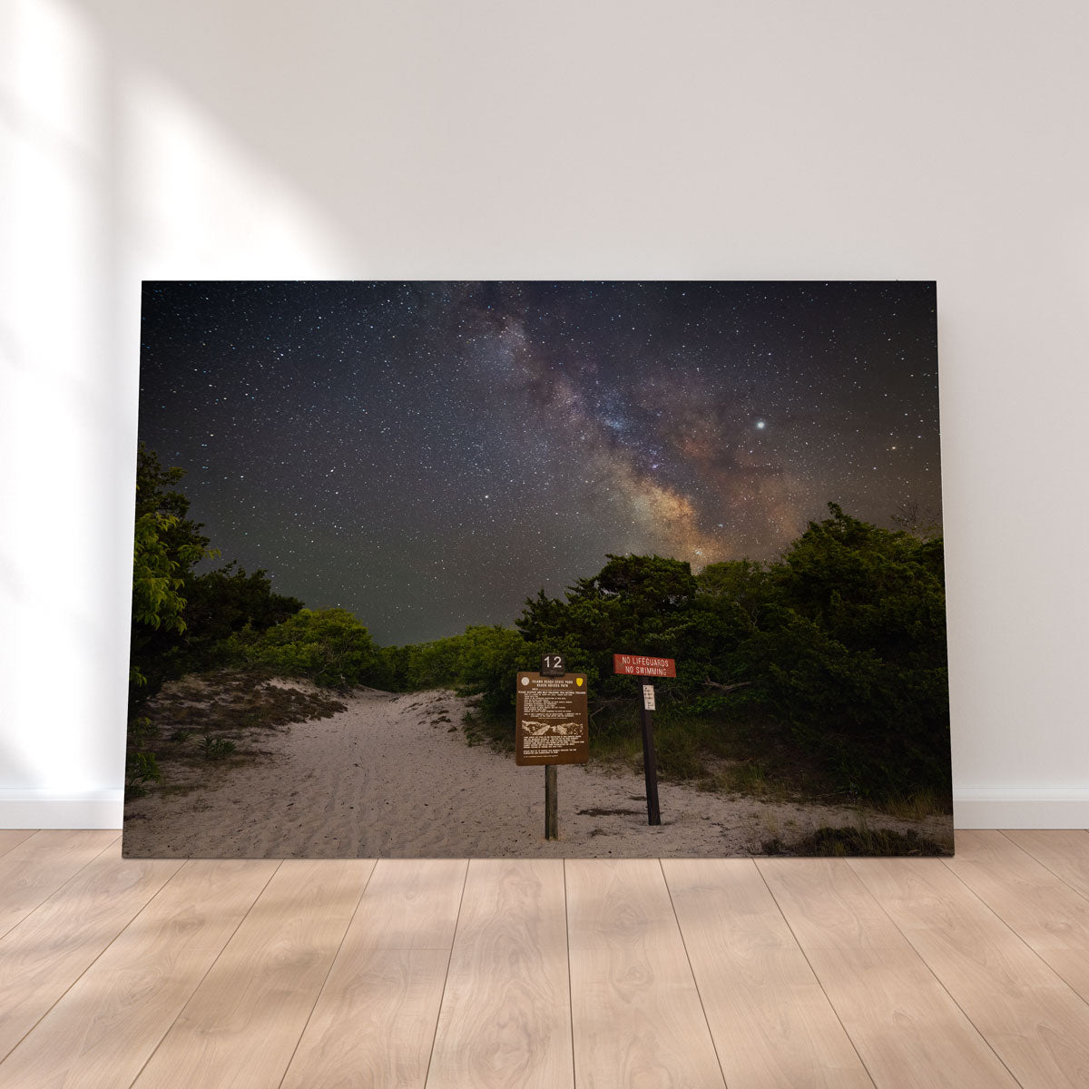 The Quest Wall Art - Stunning Museum-Quality Canvas by Shaun Mayer