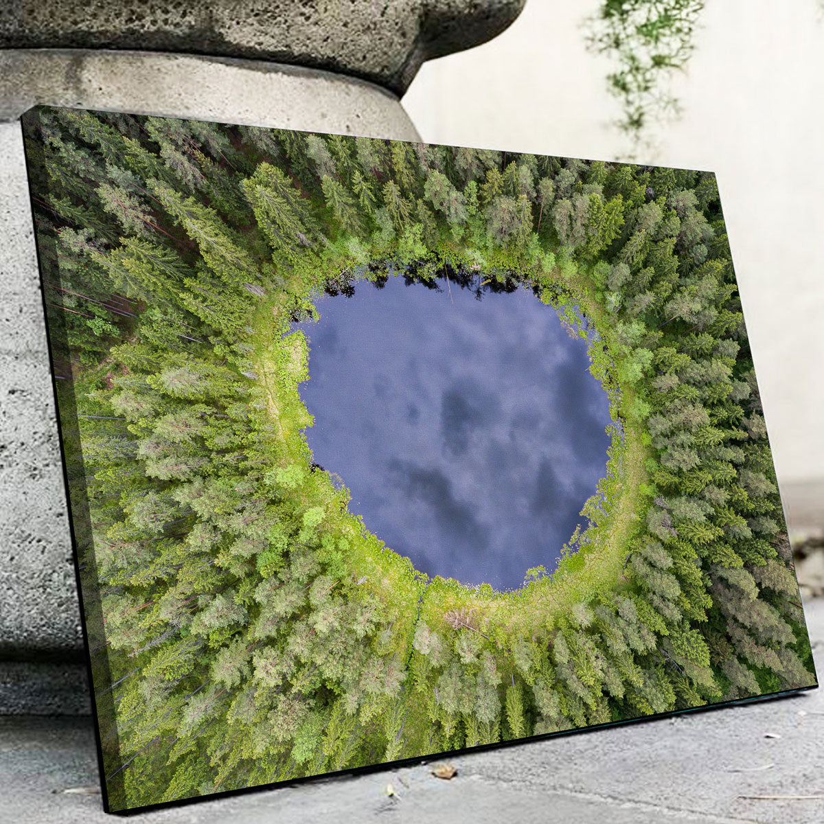 Exquisite Water Hole Wall Art by Karolis Janulis