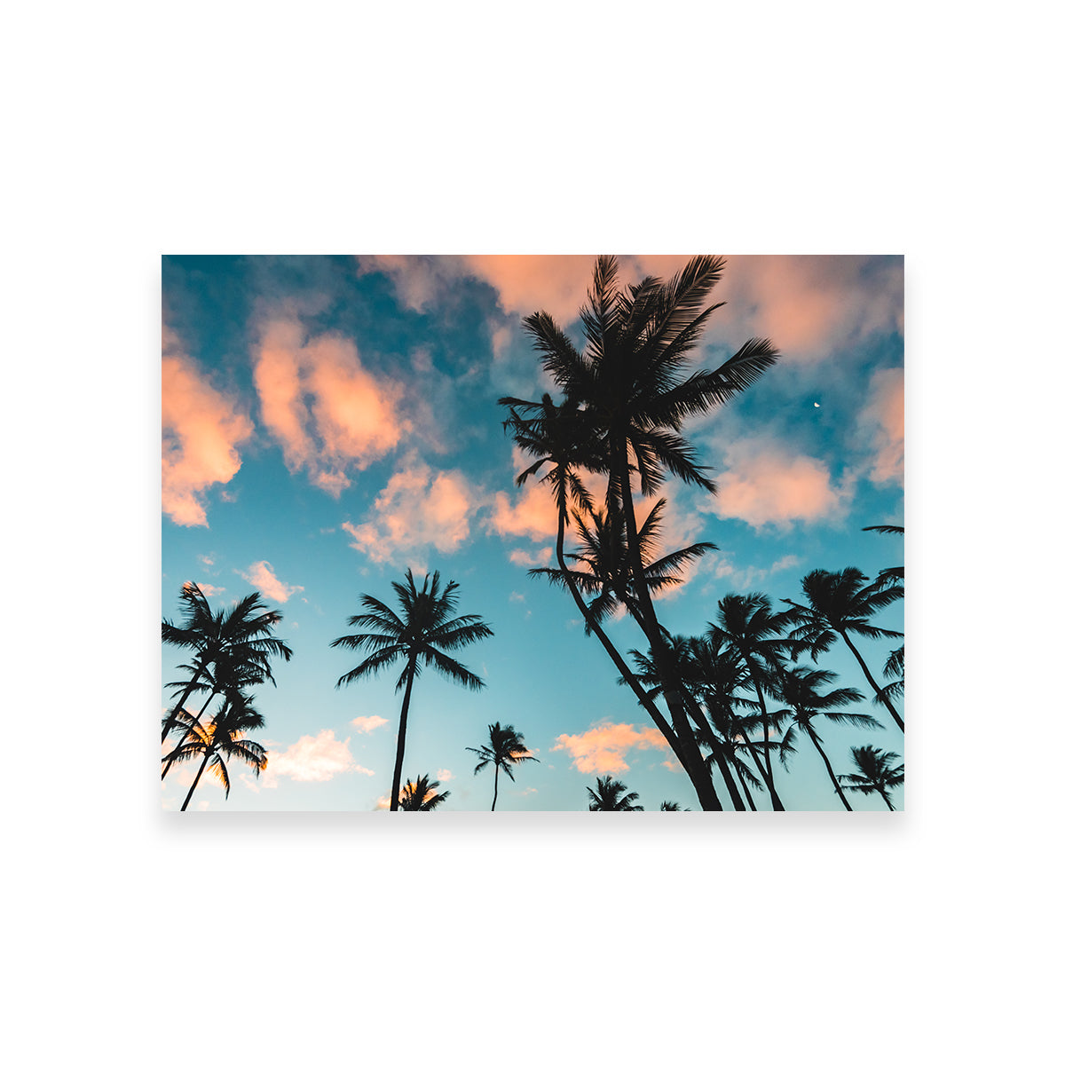Exquisite Tropical Sunrise Wall Art by Lucas Moore