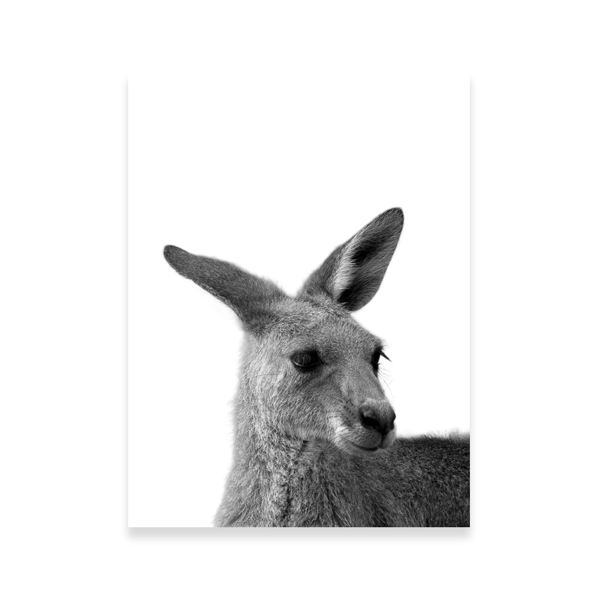 Stunning Kangaroo Wall Art by Lawisi