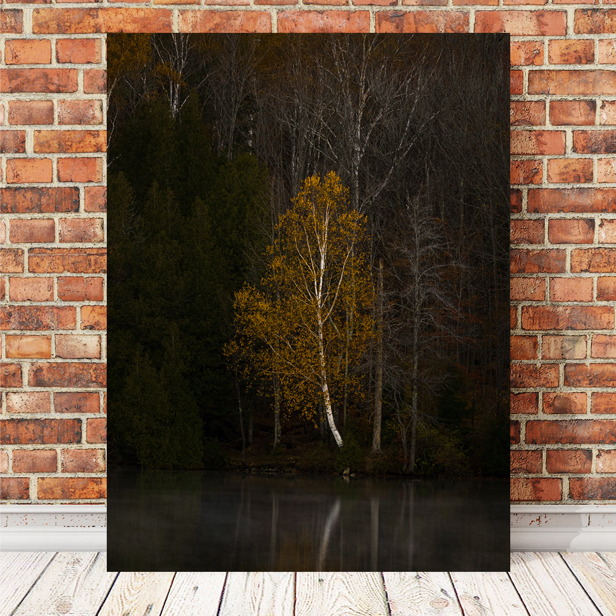 Stunning Moody Vermont Morning Wall Art by Dennis Maida