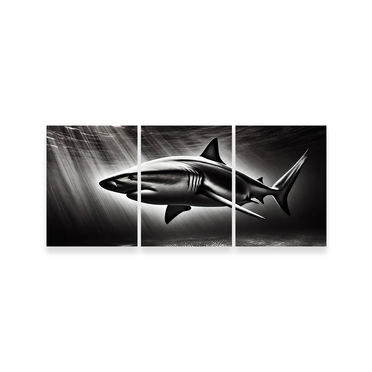 Stunning Bull Shark Grayscale Wall Art for Home Decor