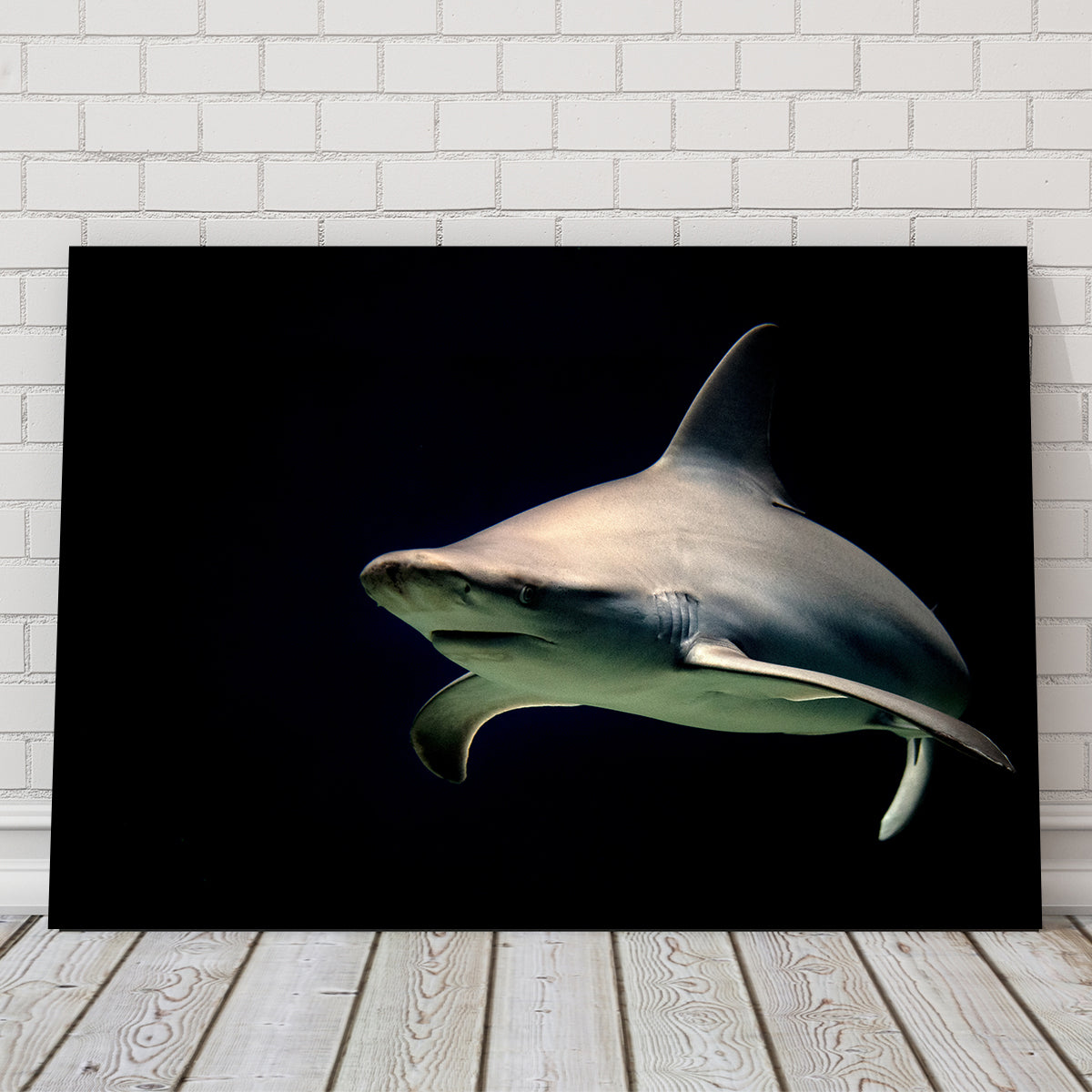 Stunning Bull Shark at Night Wall Art for Your Home Decor