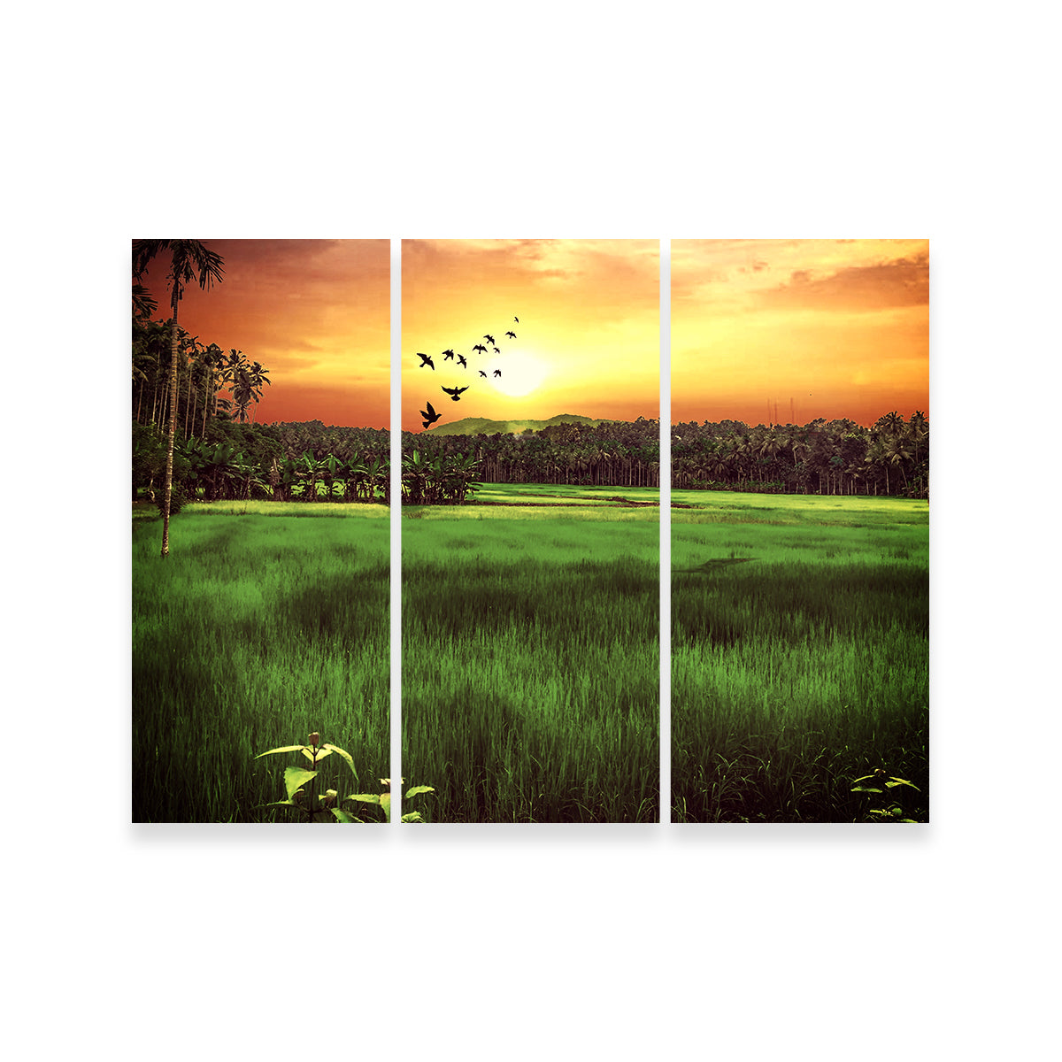 Stunning Sunset Landscape Wall Art by Dina Rolle