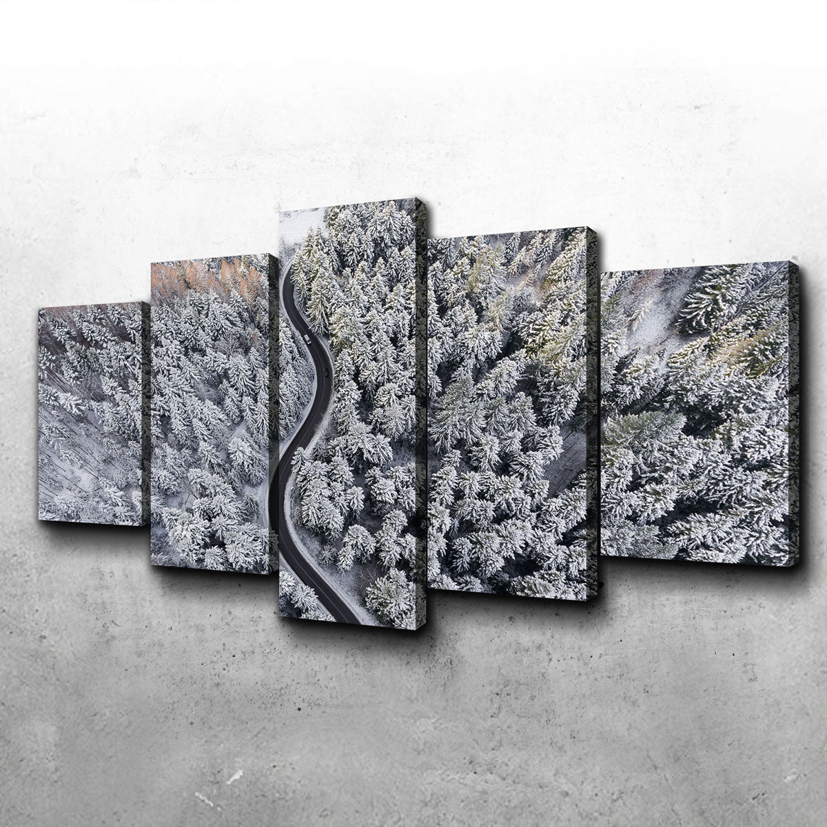 Enchanting Winding Winter Wall Art by Karolis Janulis