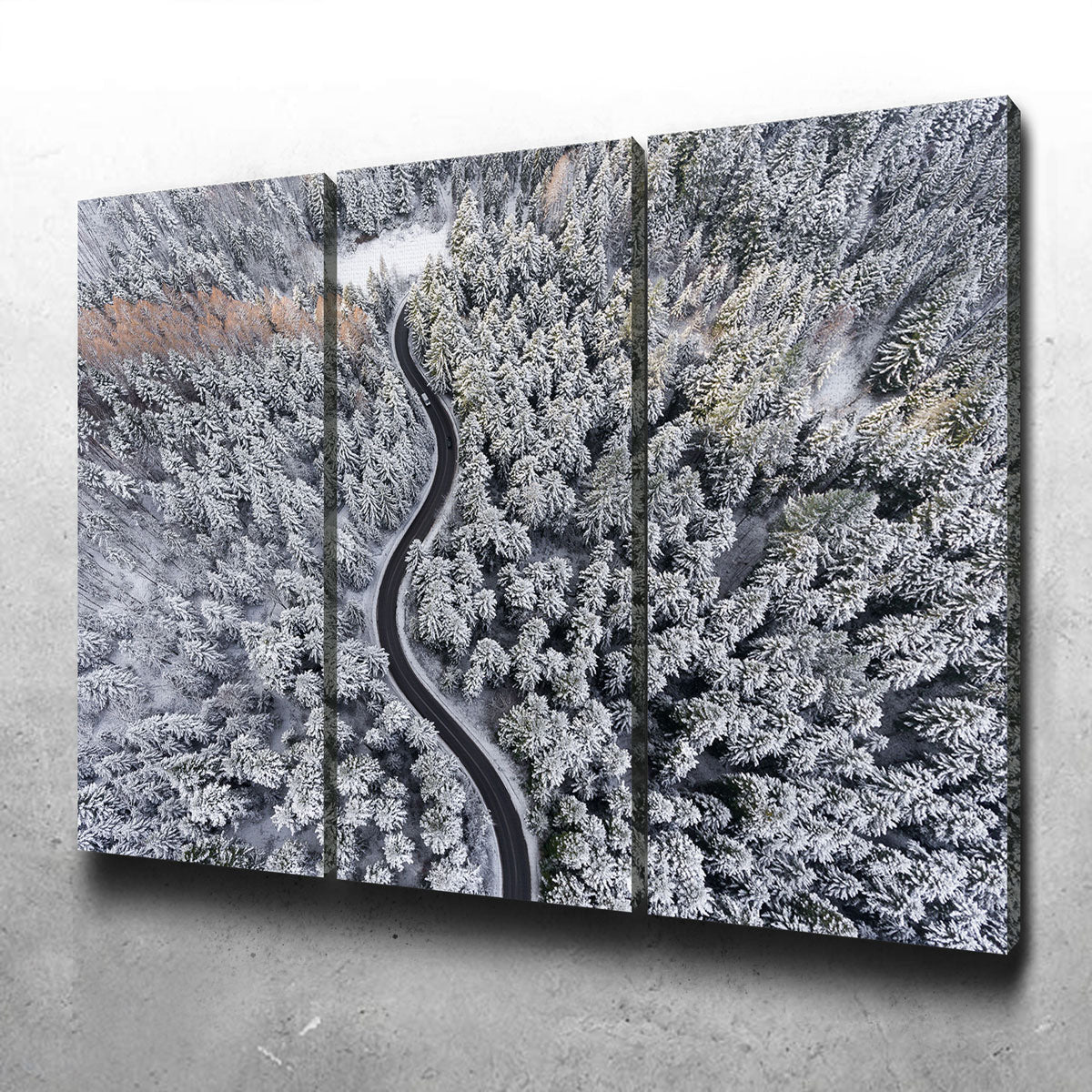 Enchanting Winding Winter Wall Art by Karolis Janulis