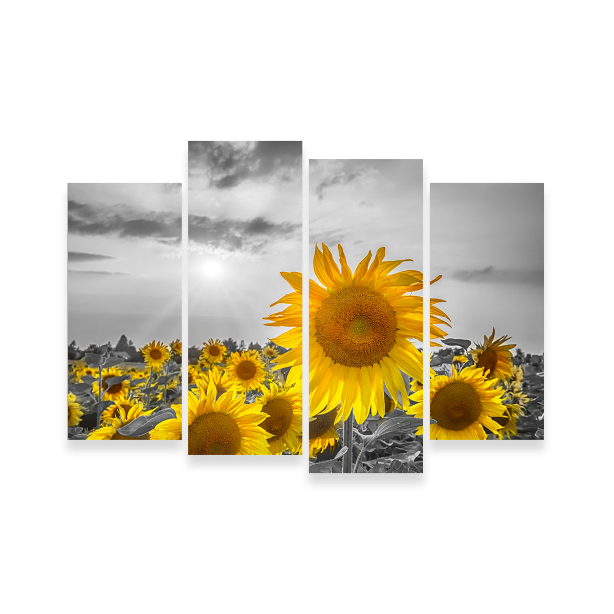 Sunflower Field - Stunning Yellow Color Pop Wall Art for a Vibrant Home Decor